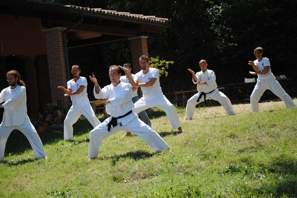 kung fu 1